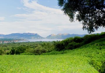 Grand Lodge Jacuzzi Suite Room Jacuzzi View Google view