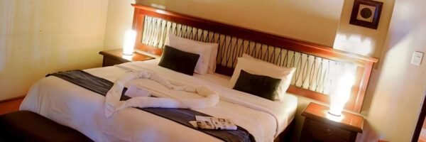 8 - Room 5 landscape