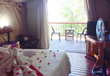 Luxury Tents Room(1)
