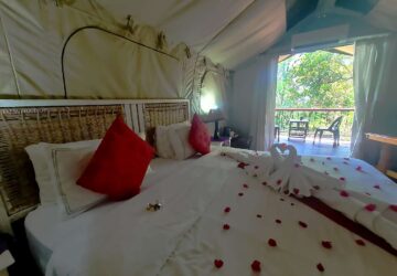 Tented Rooms bed 2