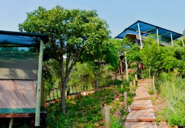 Tented Rooms entrance 2