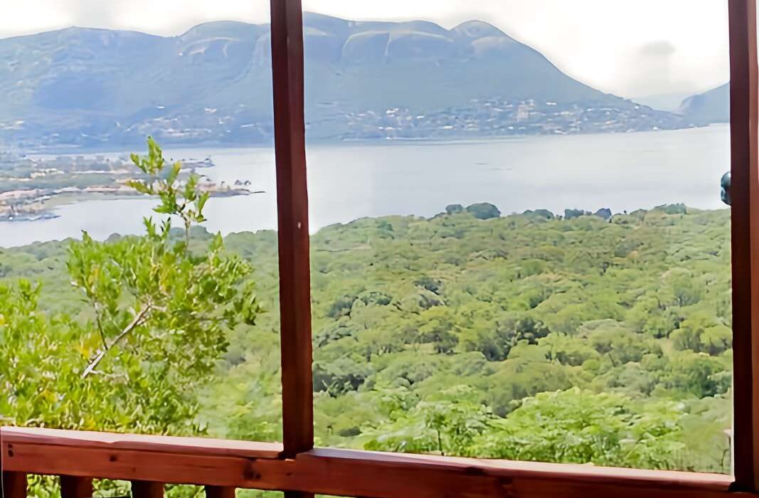 Treetop Log Cabins view