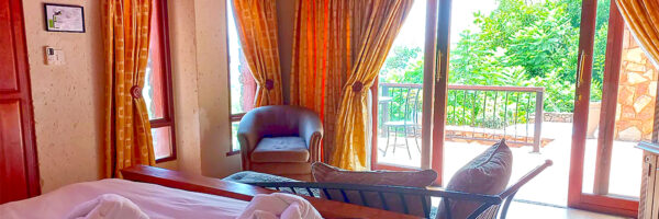 Room Google Landscape